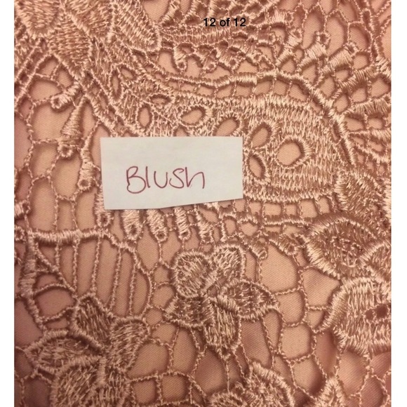 NWT Adrianna Papell‎ Sweetheart Strapless Lace Sheath Dress in Blush [size 4 ] - Picture 5 of 8